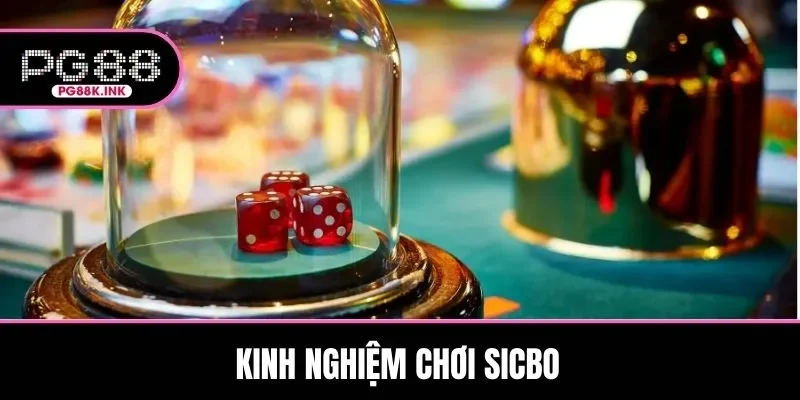 Kinh Nghiệm Chơi Sicbo - Tăng Tỷ Lệ Thắng Cực Dễ Dàng